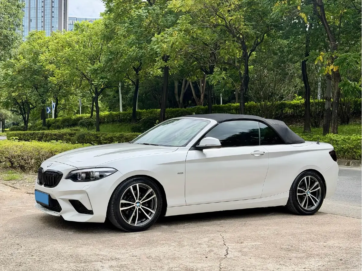 2018 BMW 2 Series 1.5T 136HP L3 8AT