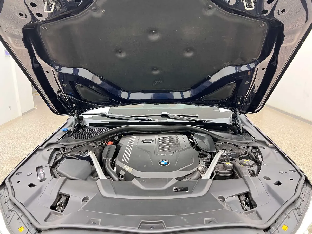 2019 BMW 7 Series 3.0T 340HP L6 8AT,autocango,china used car exporter,china ev exporter,chinese used car exporter,chinese used ev exporter