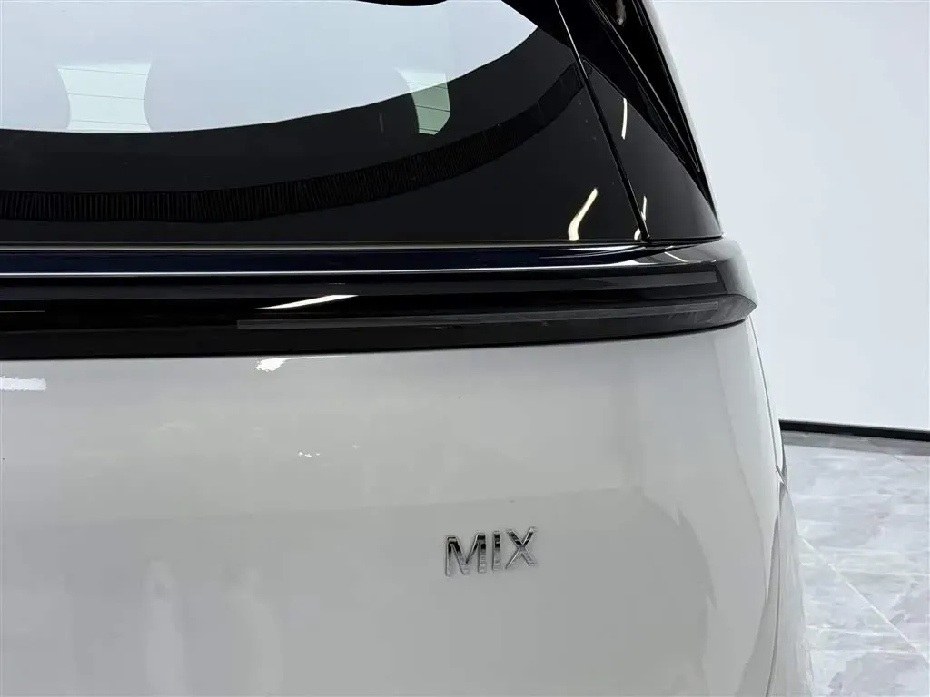 2025 Zeekr MIX BEV 102KWH,autocango,china used car exporter,china ev exporter,chinese used car exporter,chinese used ev exporter