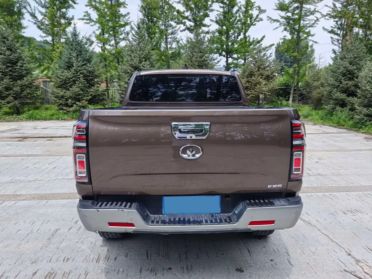 2019 Great Wall Poer 2.0T 190HP L4 8AT,autocango,china used car exporter,china ev exporter,chinese used car exporter,chinese used ev exporter