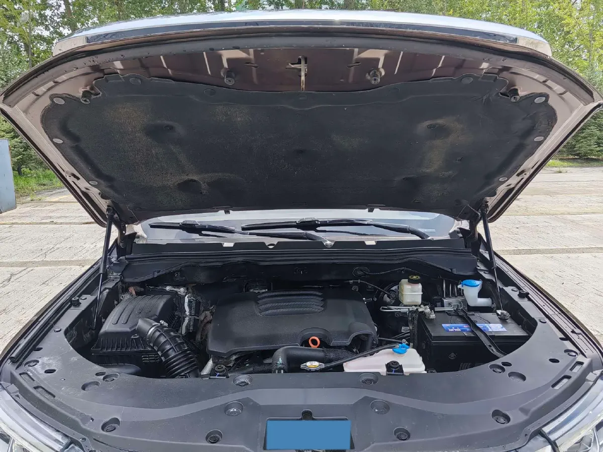 2019 Great Wall Poer 2.0T 190HP L4 8AT,autocango,china used car exporter,china ev exporter,chinese used car exporter,chinese used ev exporter