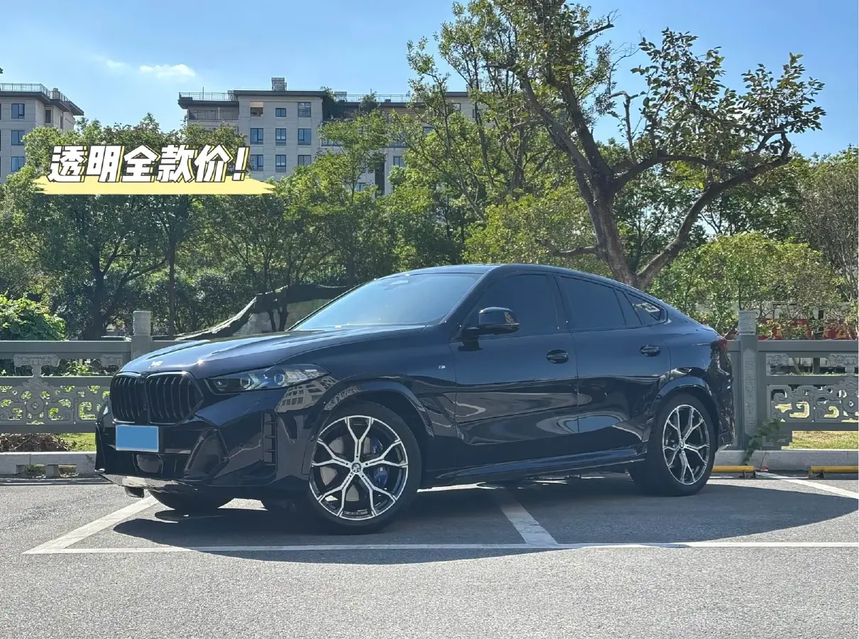 2023 BMW X6 3.0T 381HP L6 8AT