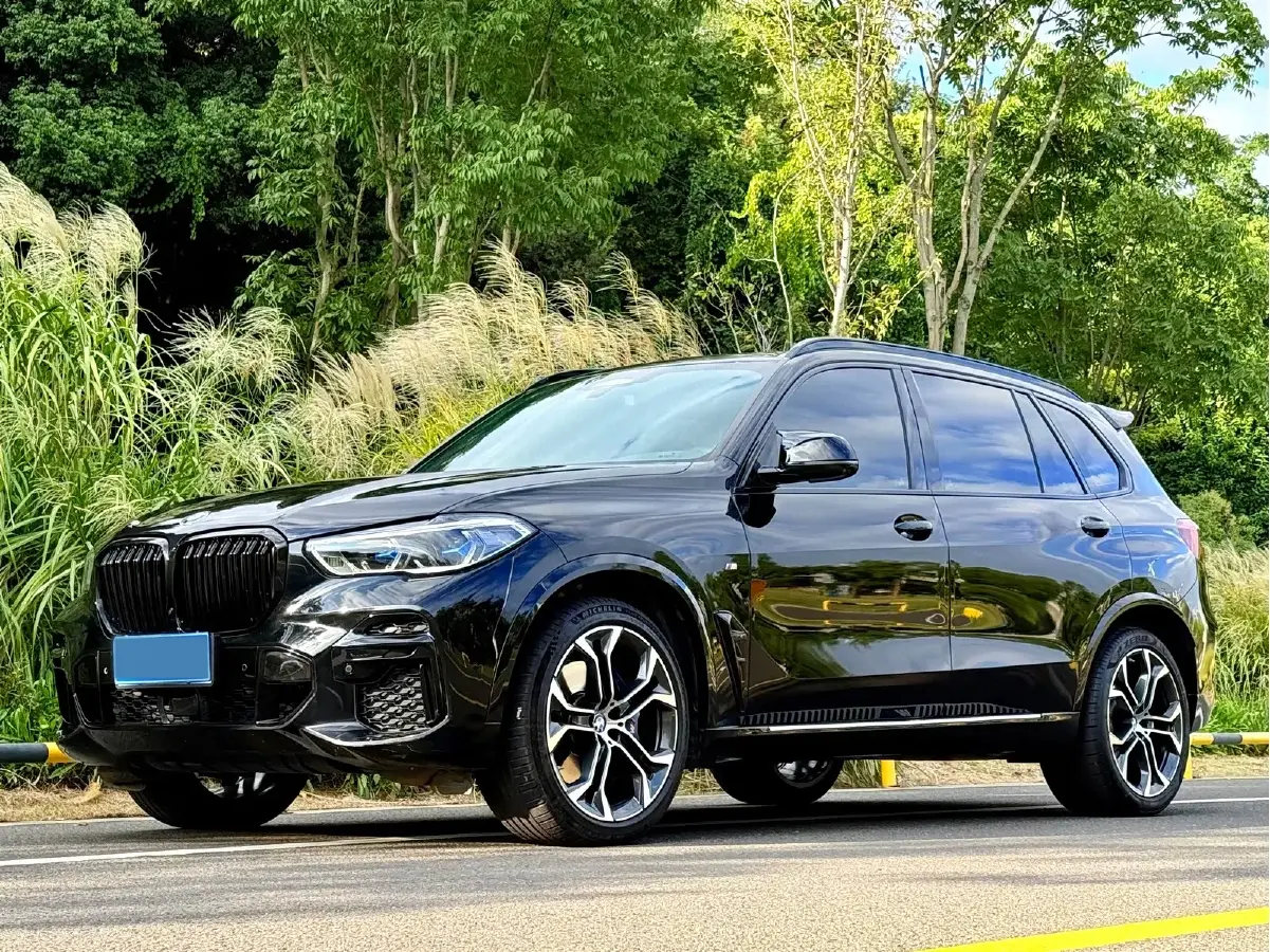2022 BMW X5 3.0T 333HP L6 8AT