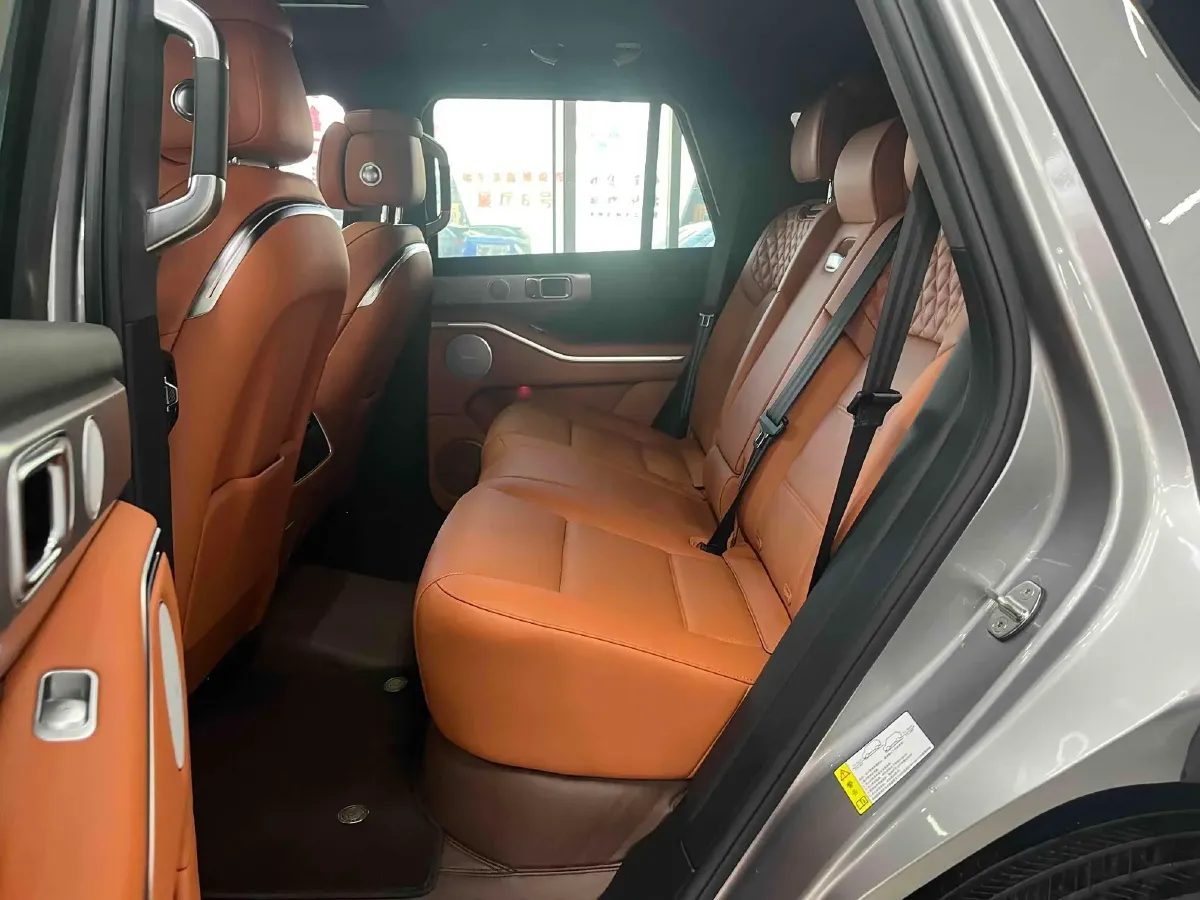 2024 Tank 700 3.0T 360HP V6 9AT PHEV 37.1KWH,autocango,china used car exporter,china ev exporter,chinese used car exporter,chinese used ev exporter