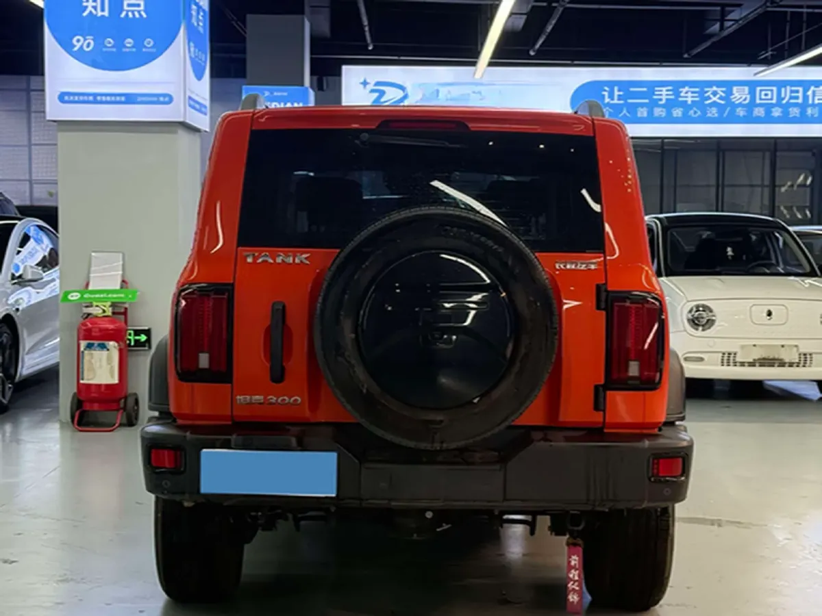 2023 Tank 300 2.0T 227HP L4 8AT,autocango,china used car exporter,china ev exporter,chinese used car exporter,chinese used ev exporter