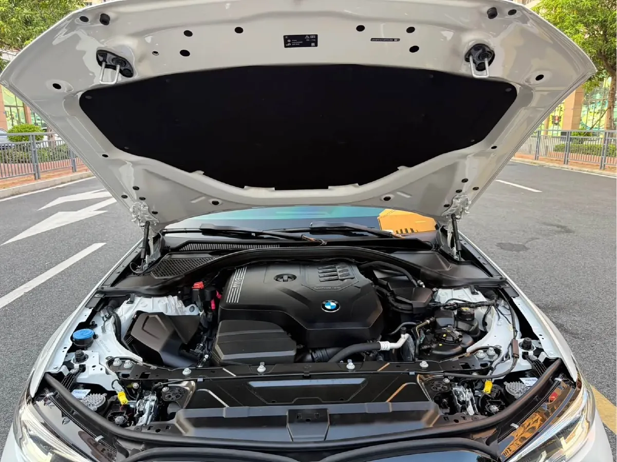 2020 BMW 3 Series 2.0T 184HP L4 8AT,autocango,china used car exporter,china ev exporter,chinese used car exporter,chinese used ev exporter