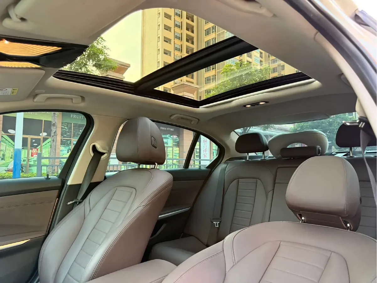 2020 BMW 3 Series 2.0T 184HP L4 8AT,autocango,china used car exporter,china ev exporter,chinese used car exporter,chinese used ev exporter