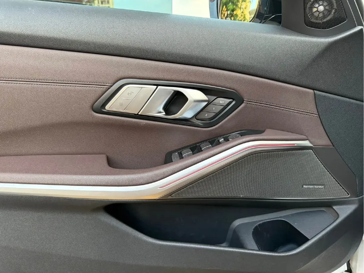 2020 BMW 3 Series 2.0T 184HP L4 8AT,autocango,china used car exporter,china ev exporter,chinese used car exporter,chinese used ev exporter