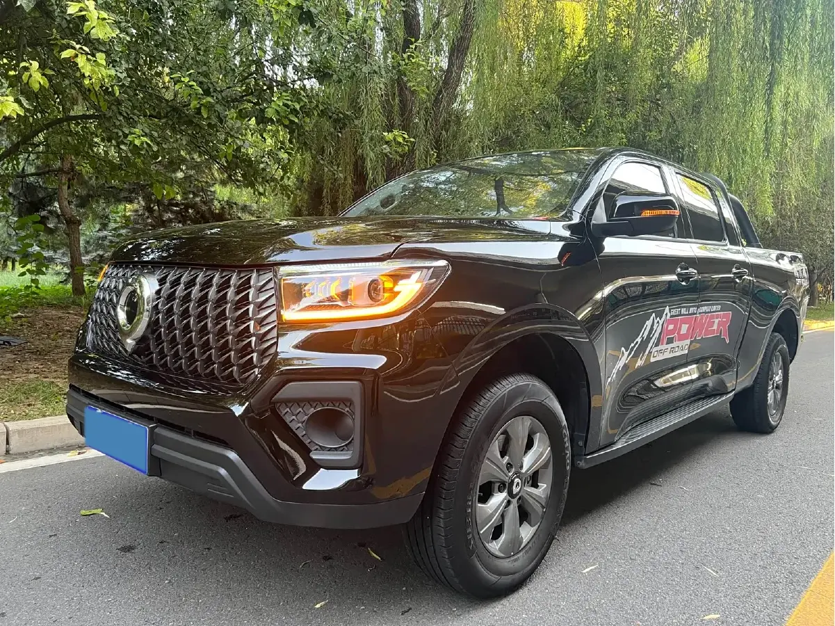 2023 Great Wall Poer 2.0T 166HP L4 6MT