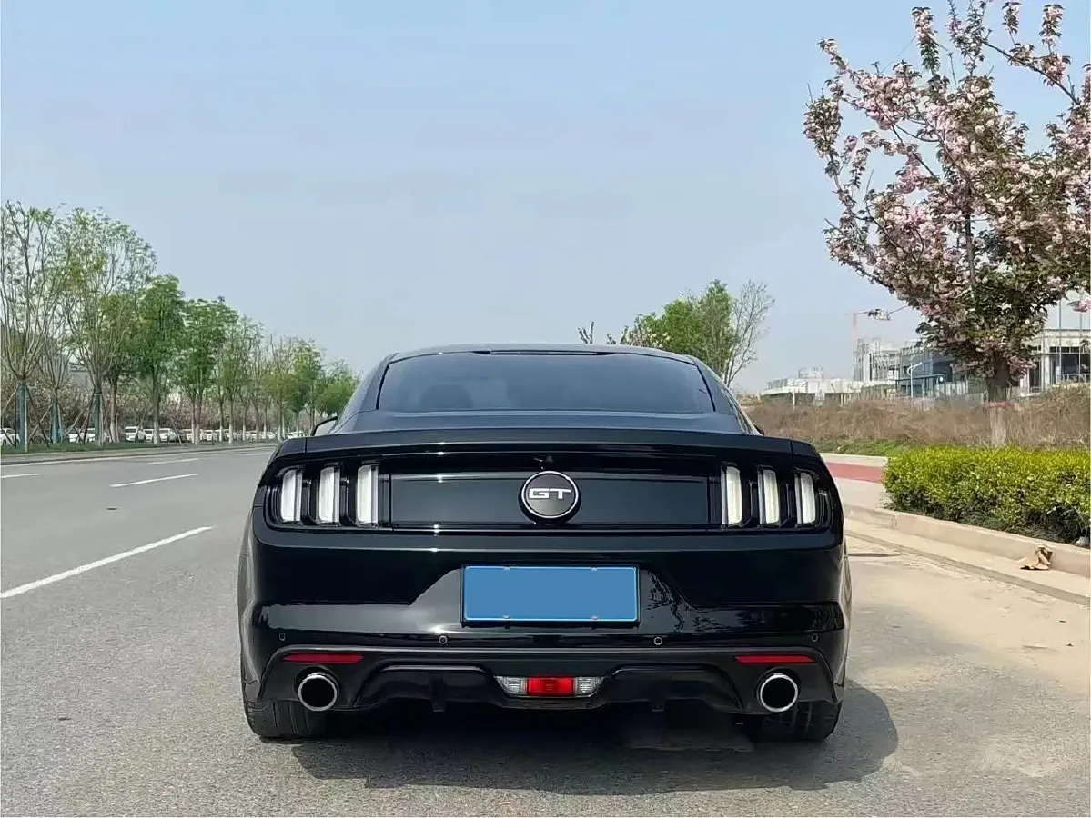 2015 Ford Mustang 2.3T 314HP L4 6AT,autocango,china used car exporter,china ev exporter,chinese used car exporter,chinese used ev exporter