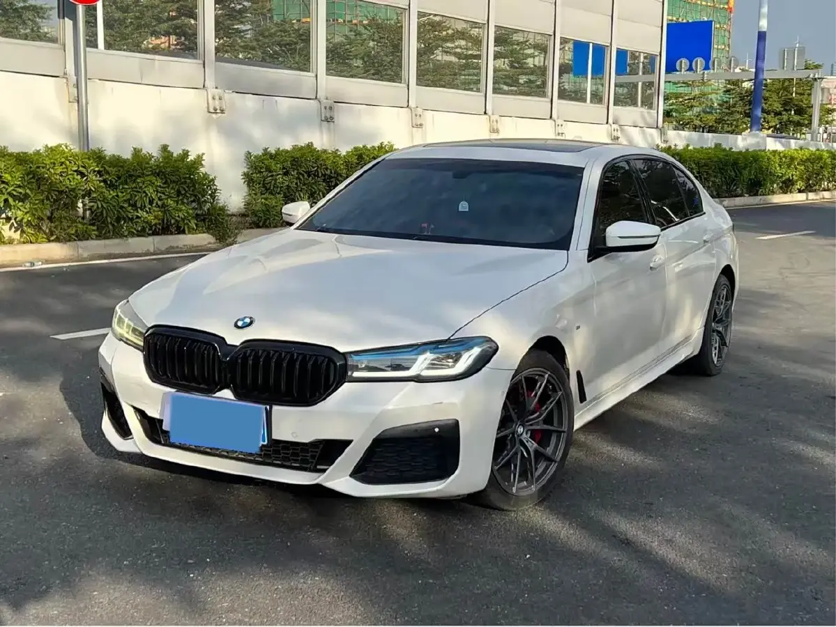 2019 BMW 5 Series 2.0T 252HP L4 8AT