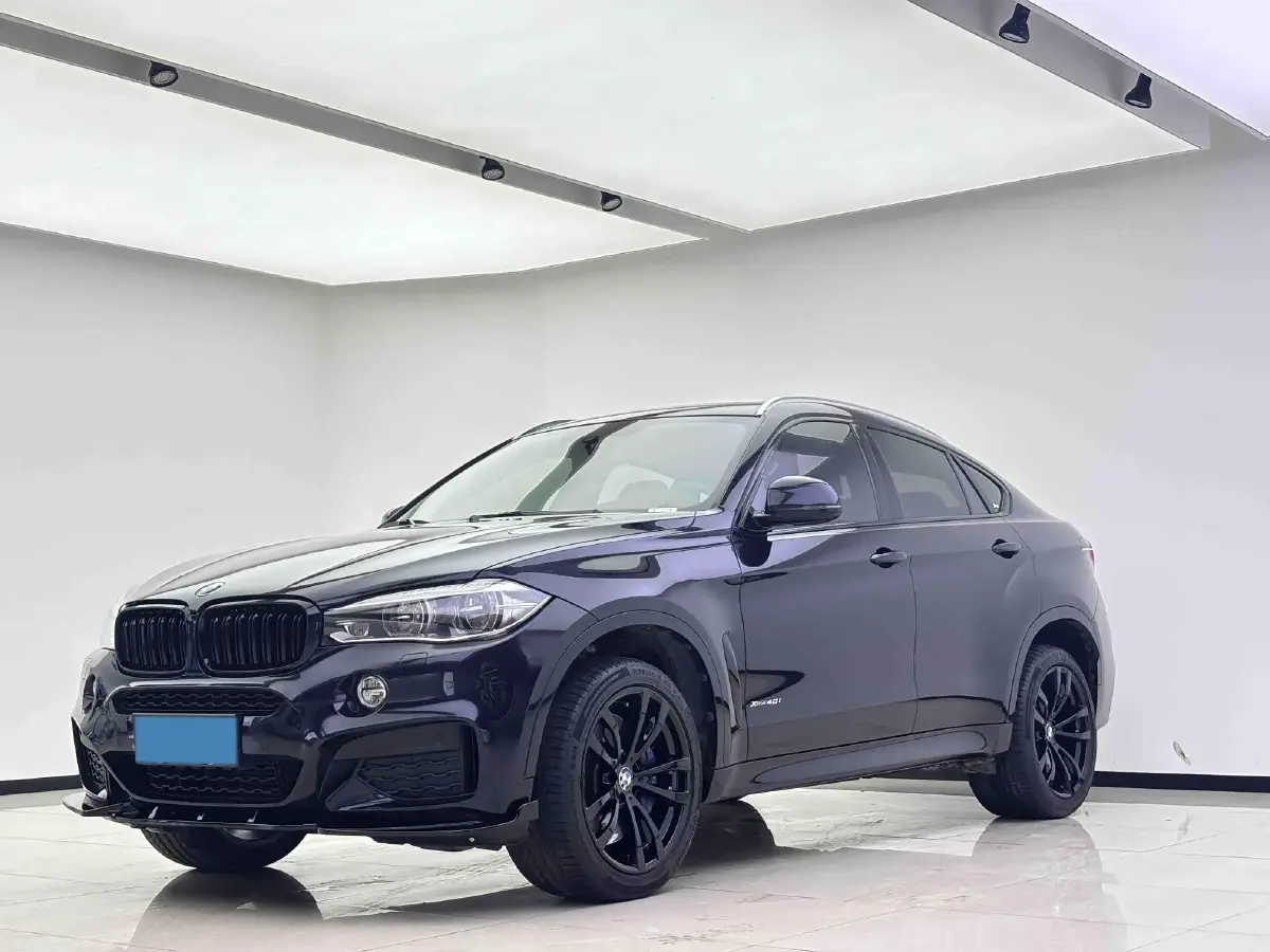 2018 BMW X6 3.0T 306HP L6 8AT
