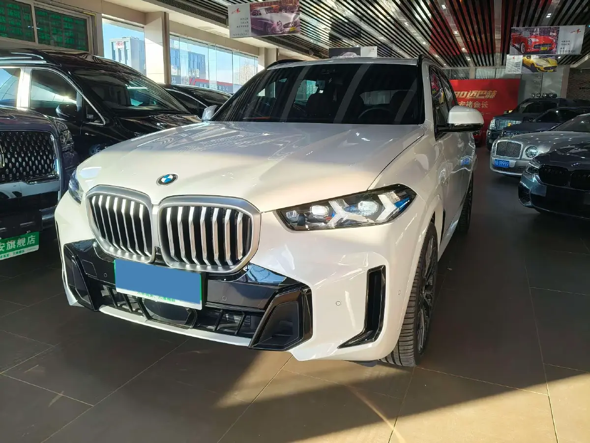 2023 BMW X5 3.0T 381HP L6 8AT