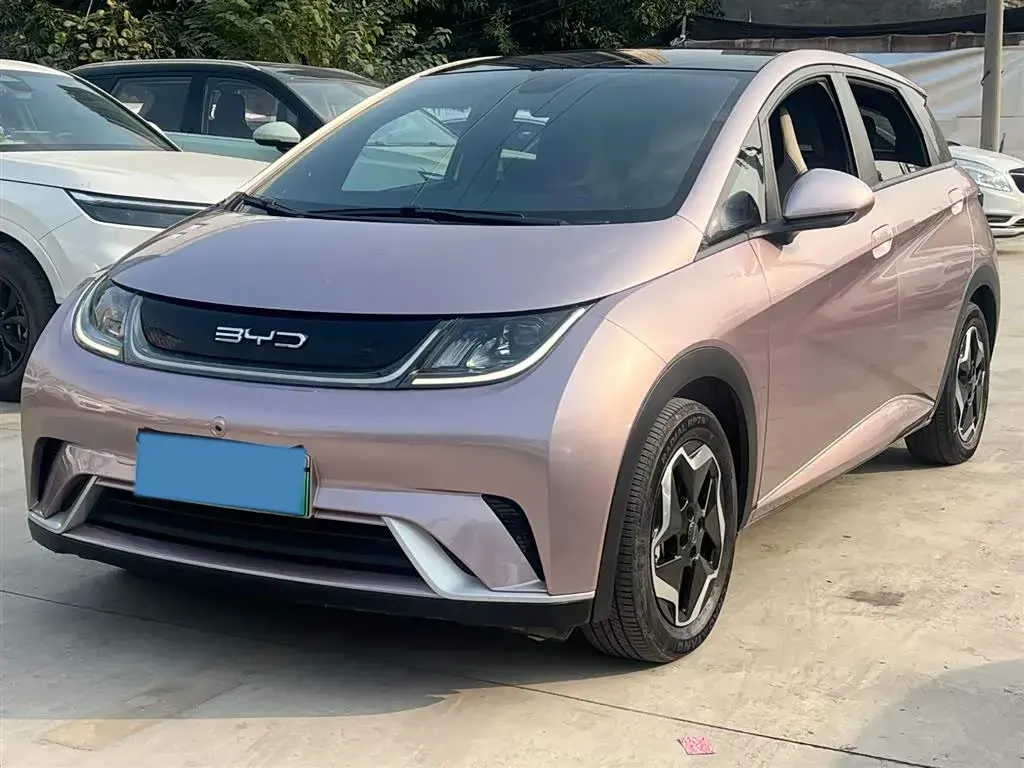 2021 BYD Dolphin BEV 44.9KWH