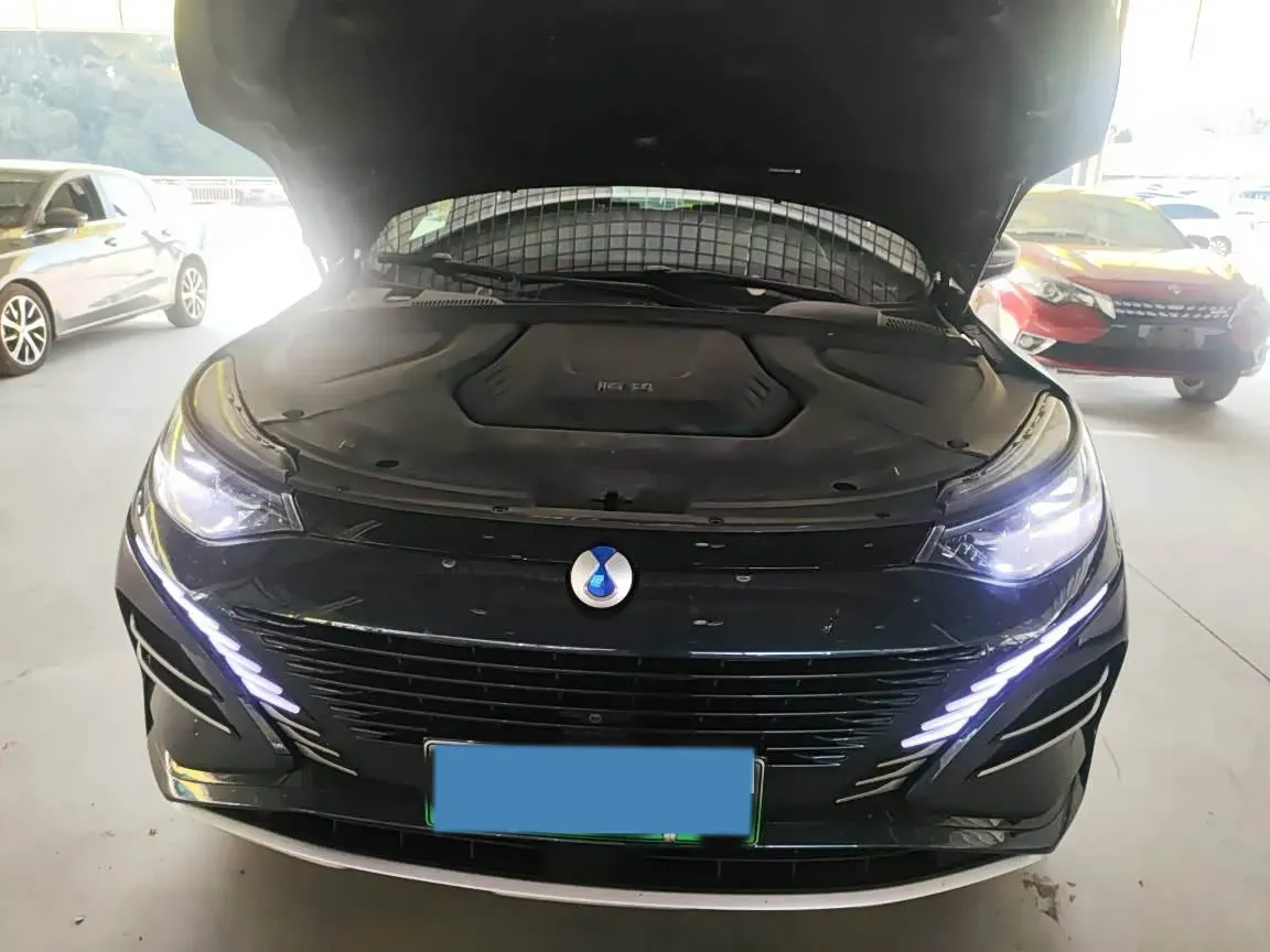 2023 Denza N8 1.5T 139HP L4 E-CVT PHEV 45.8KWH,autocango,china used car exporter,china ev exporter,chinese used car exporter,chinese used ev exporter