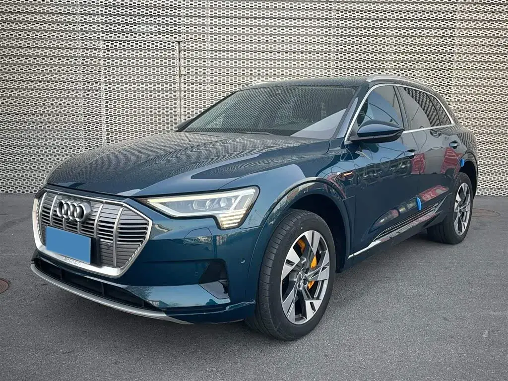 2019 Audi e-tron 2AT BEV 95KWH