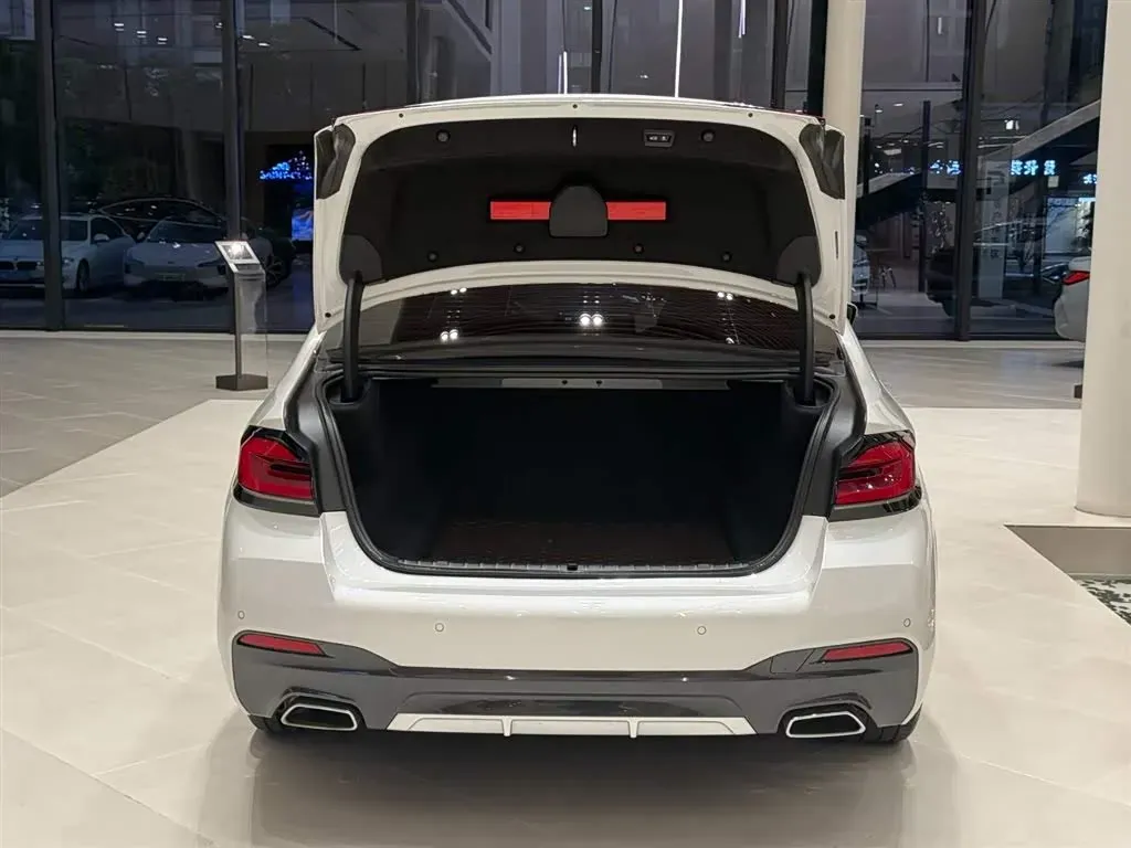 2021 BMW 5 Series 2.0T 252HP L4 8AT,autocango,china used car exporter,china ev exporter,chinese used car exporter,chinese used ev exporter