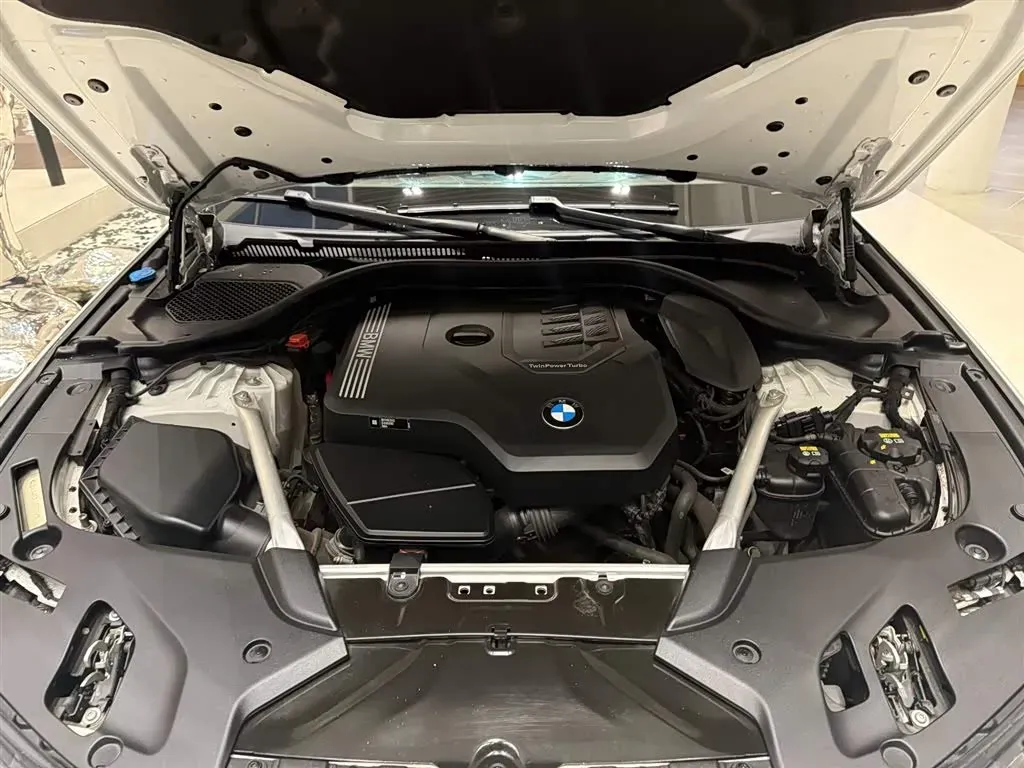 2021 BMW 5 Series 2.0T 252HP L4 8AT,autocango,china used car exporter,china ev exporter,chinese used car exporter,chinese used ev exporter