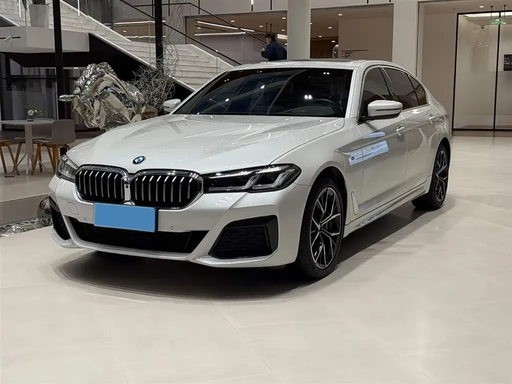 2021 BMW 5 Series 2.0T 252HP L4 8AT,autocango,china used car exporter,china ev exporter,chinese used car exporter,chinese used ev exporter