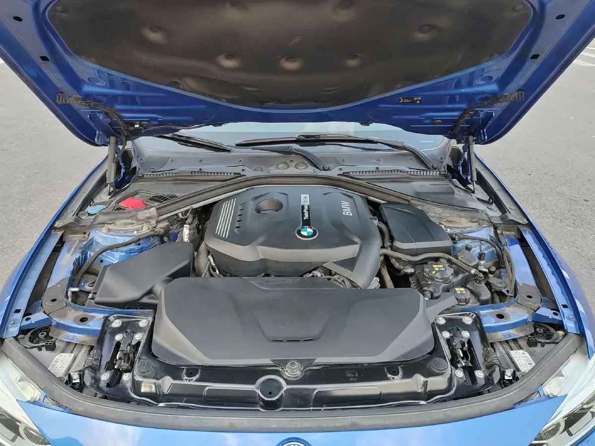 2019 BMW 3 Series 2.0T 184HP L4 8AT,autocango,china used car exporter,china ev exporter,chinese used car exporter,chinese used ev exporter