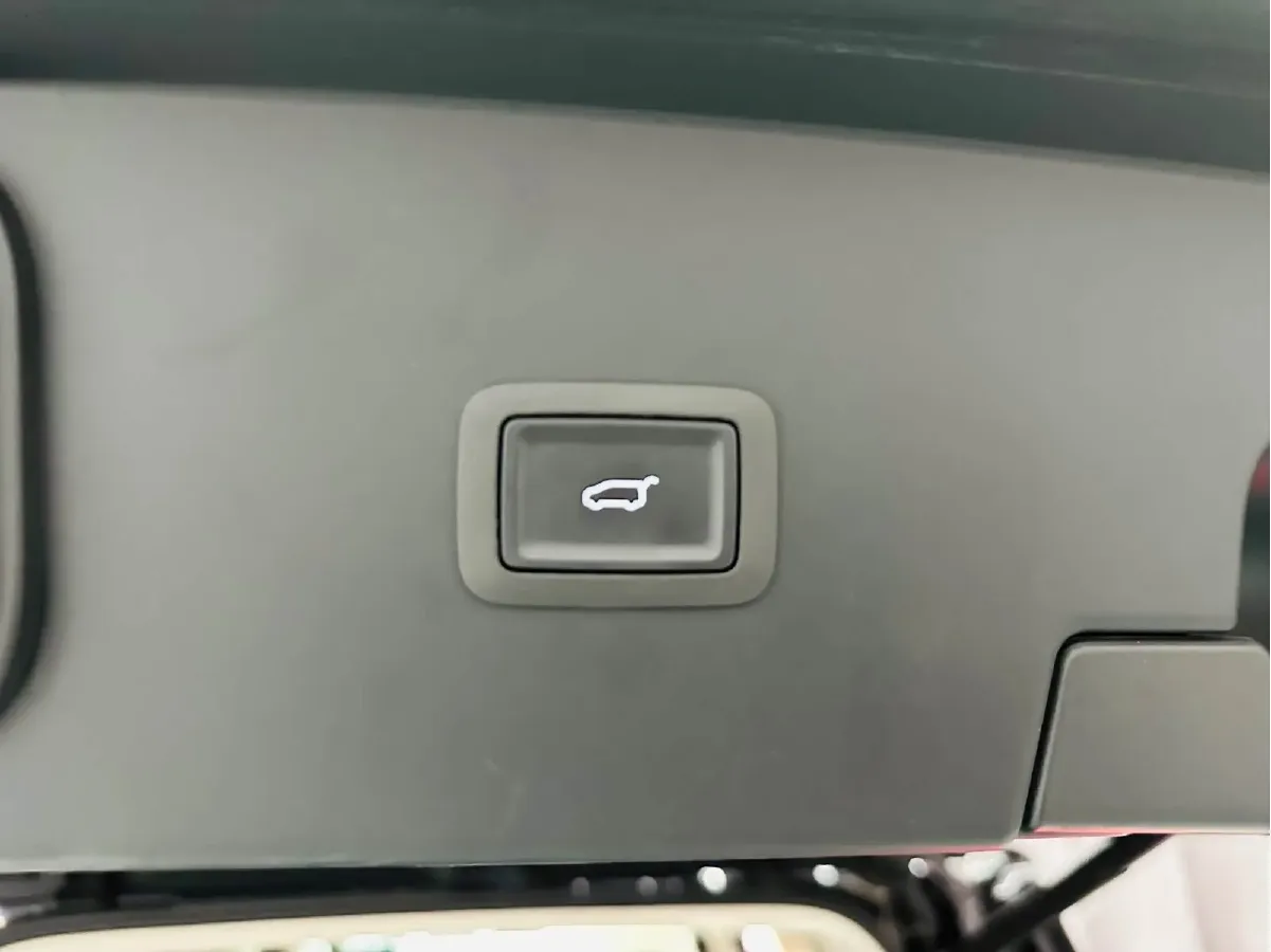 2024 HongQi HQ9 2.0T 163HP L4 1DHT PHEV 20.14KWH,autocango,china used car exporter,china ev exporter,chinese used car exporter,chinese used ev exporter