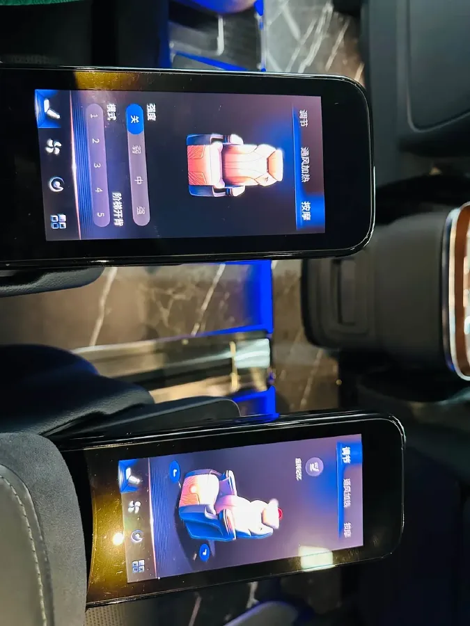 2024 HongQi HQ9 2.0T 163HP L4 1DHT PHEV 20.14KWH,autocango,china used car exporter,china ev exporter,chinese used car exporter,chinese used ev exporter