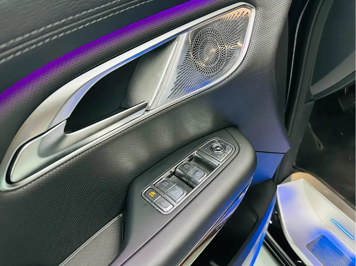 2024 HongQi HQ9 2.0T 163HP L4 1DHT PHEV 20.14KWH,autocango,china used car exporter,china ev exporter,chinese used car exporter,chinese used ev exporter