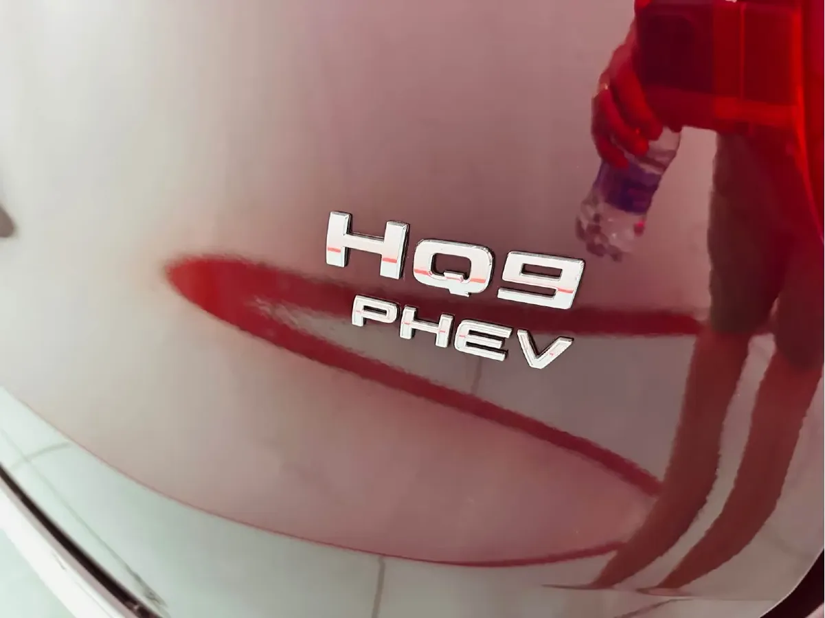 2024 HongQi HQ9 2.0T 163HP L4 1DHT PHEV 20.14KWH,autocango,china used car exporter,china ev exporter,chinese used car exporter,chinese used ev exporter