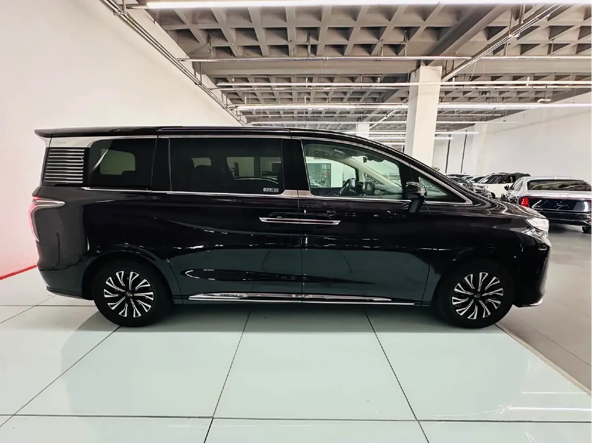 2024 HongQi HQ9 2.0T 163HP L4 1DHT PHEV 20.14KWH,autocango,china used car exporter,china ev exporter,chinese used car exporter,chinese used ev exporter