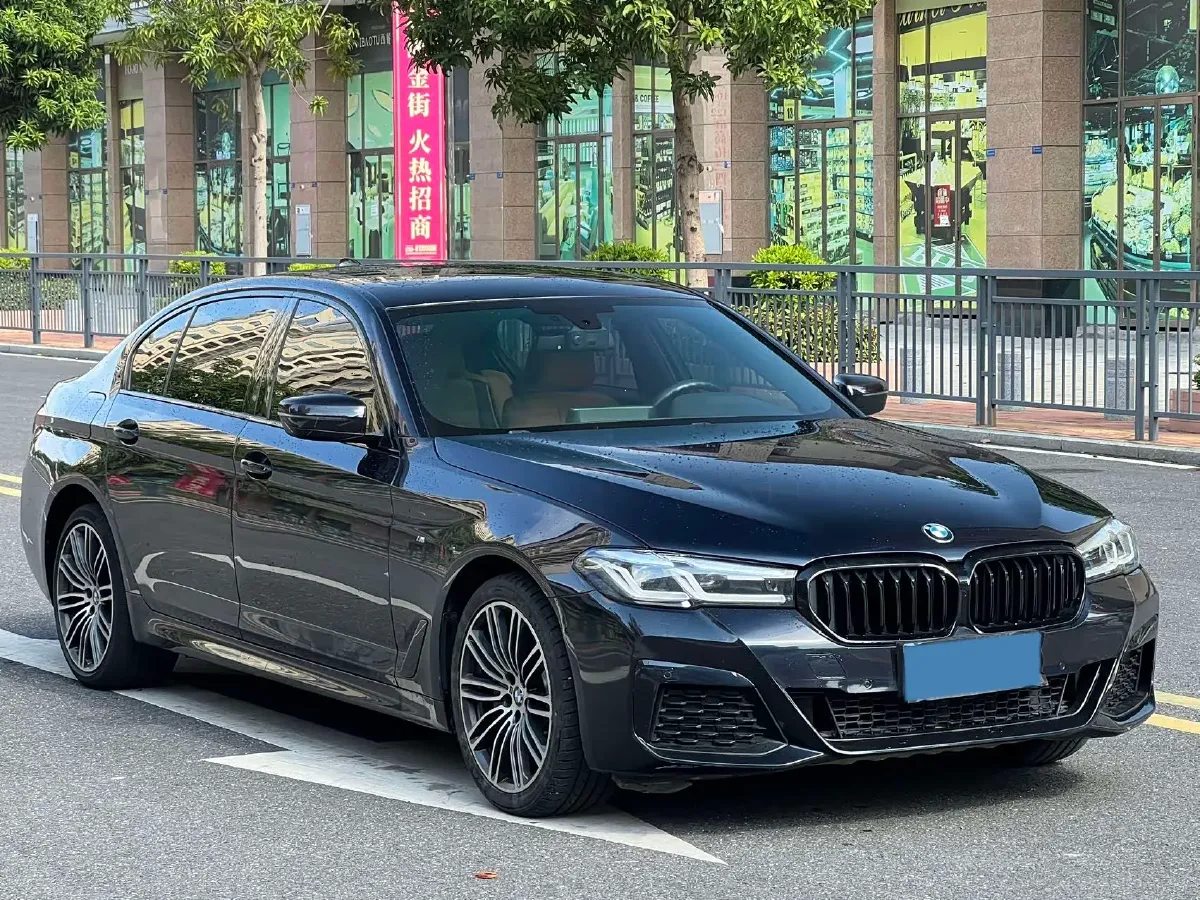 2019 BMW 5 Series 2.0T 252HP L4 8AT,autocango,china used car exporter,china ev exporter,chinese used car exporter,chinese used ev exporter