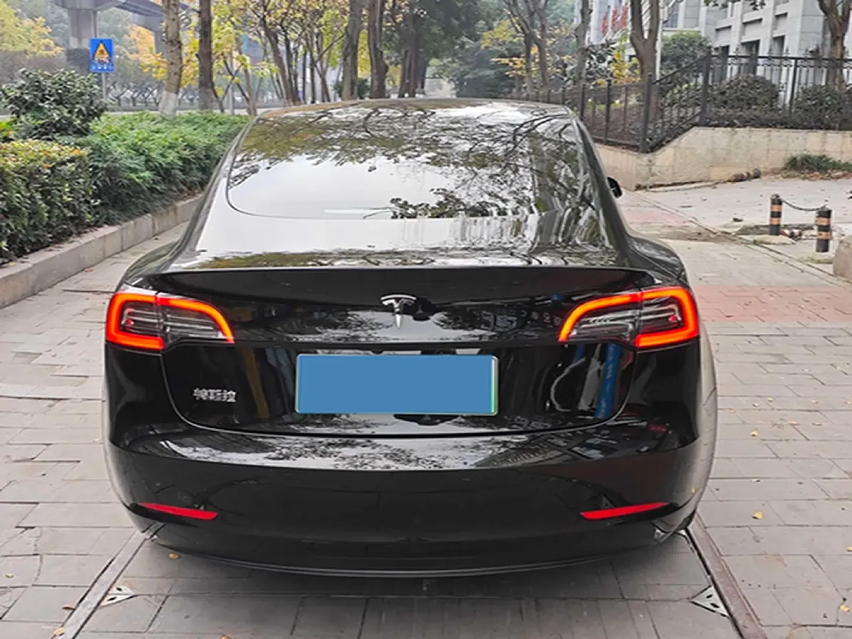2021 Tesla Model 3 BEV 55KWH,autocango,china used car exporter,china ev exporter,chinese used car exporter,chinese used ev exporter