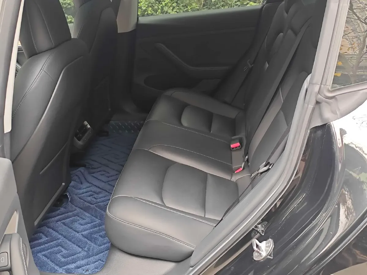 2021 Tesla Model 3 BEV 55KWH,autocango,china used car exporter,china ev exporter,chinese used car exporter,chinese used ev exporter