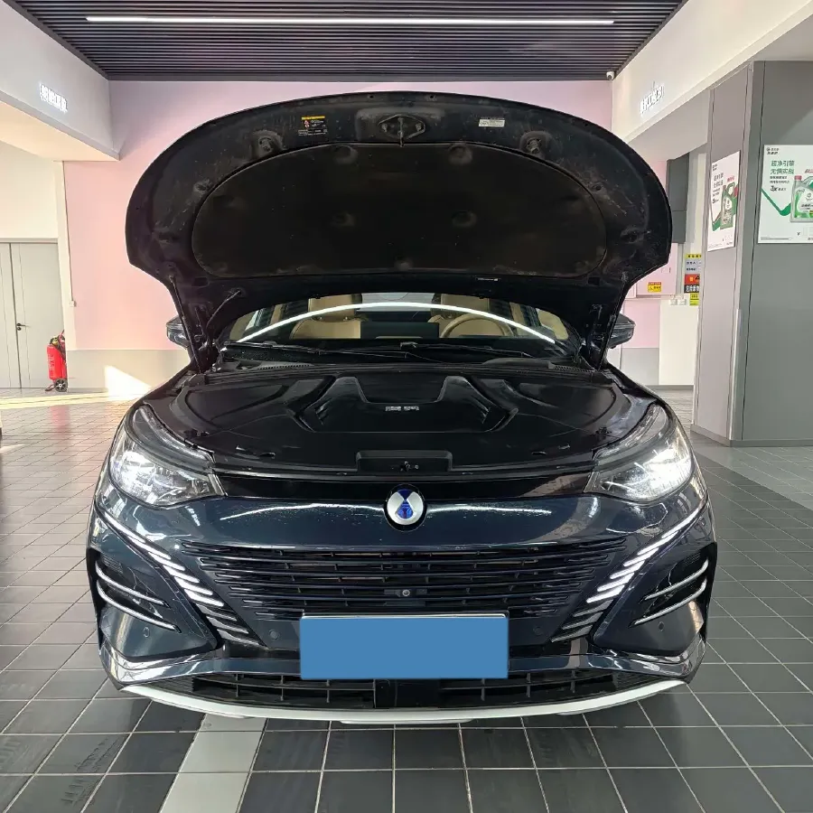 2023 Denza N8 1.5T 139HP L4 E-CVT PHEV 45.8KWH,autocango,china used car exporter,china ev exporter,chinese used car exporter,chinese used ev exporter