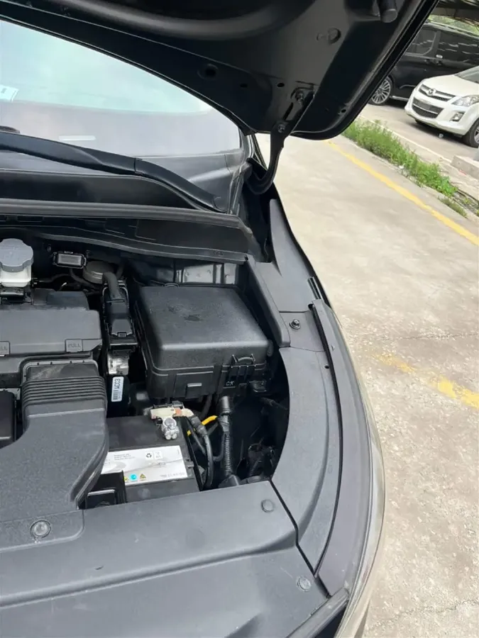 2017 Kia Carnival 2.2T 200HP L4 6AT,autocango,china used car exporter,china ev exporter,chinese used car exporter,chinese used ev exporter