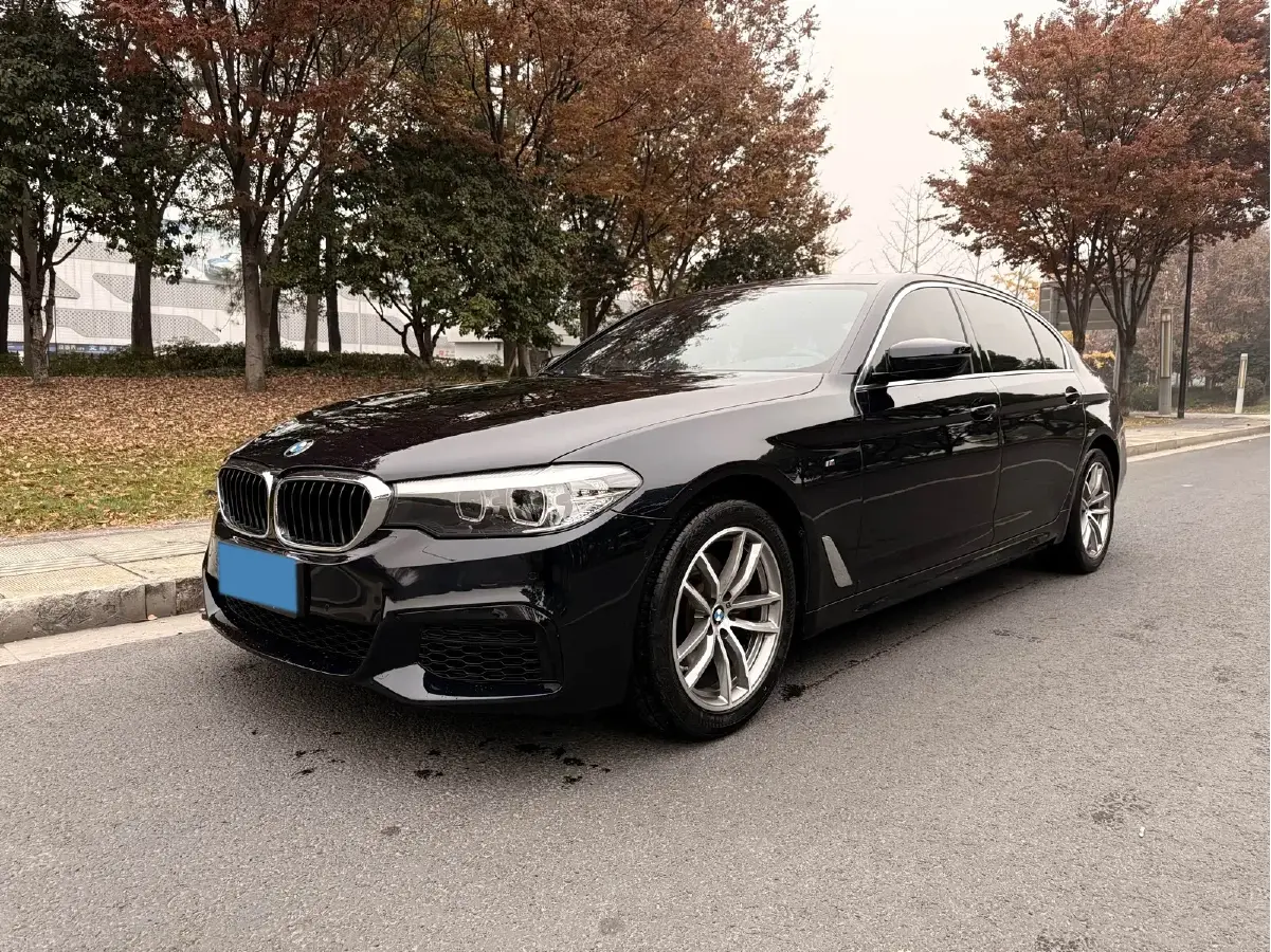 2020 BMW 5 Series 2.0T 184HP L4 8AT