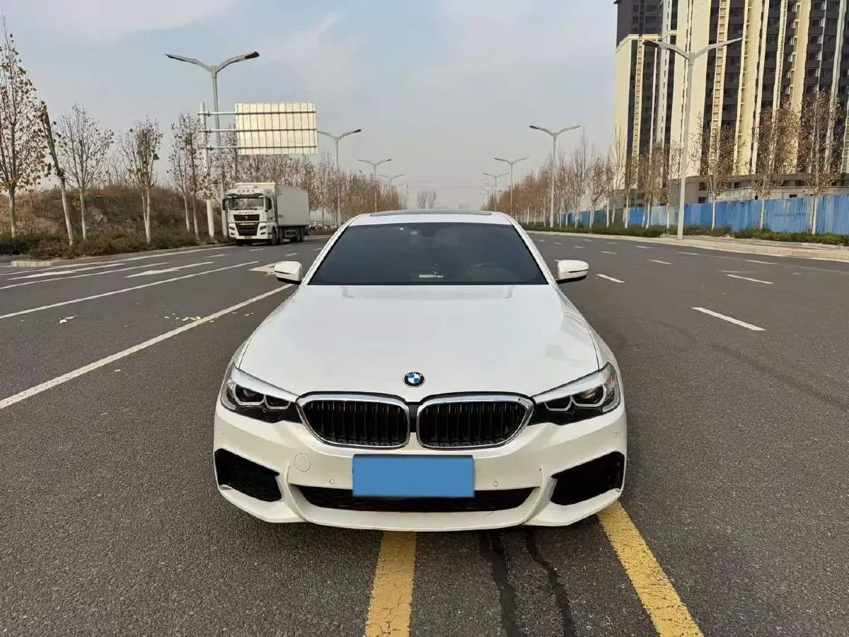 2020 BMW 5 Series 2.0T 184HP L4 8AT,autocango,china used car exporter,china ev exporter,chinese used car exporter,chinese used ev exporter