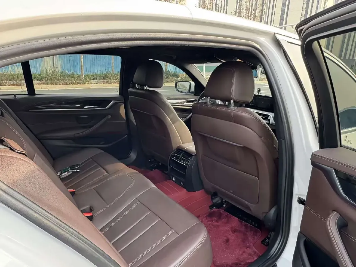 2020 BMW 5 Series 2.0T 184HP L4 8AT,autocango,china used car exporter,china ev exporter,chinese used car exporter,chinese used ev exporter