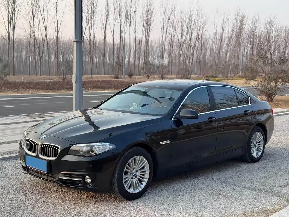 2014 BMW 5 Series 2.0T 218HP L4 8AT