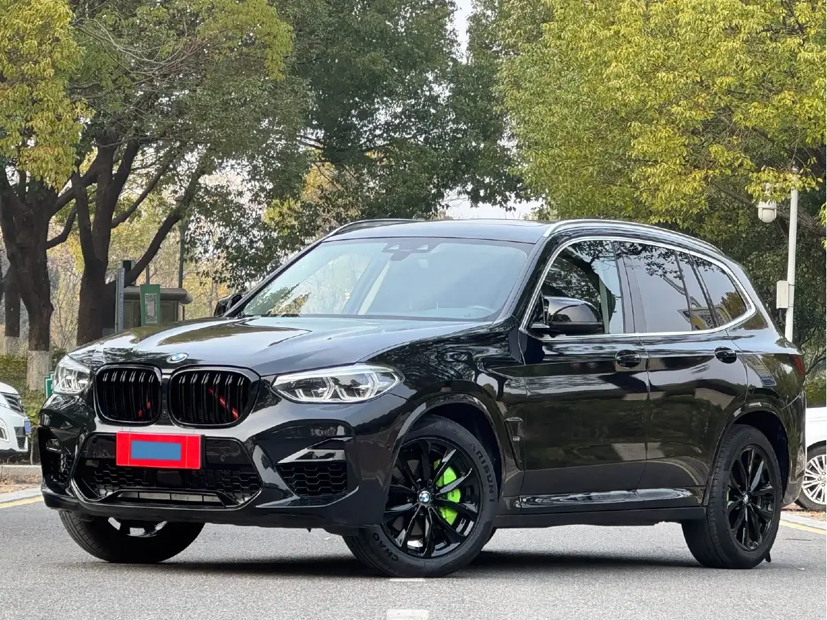 2018 BMW X3 2.0T 184HP L4 8AT