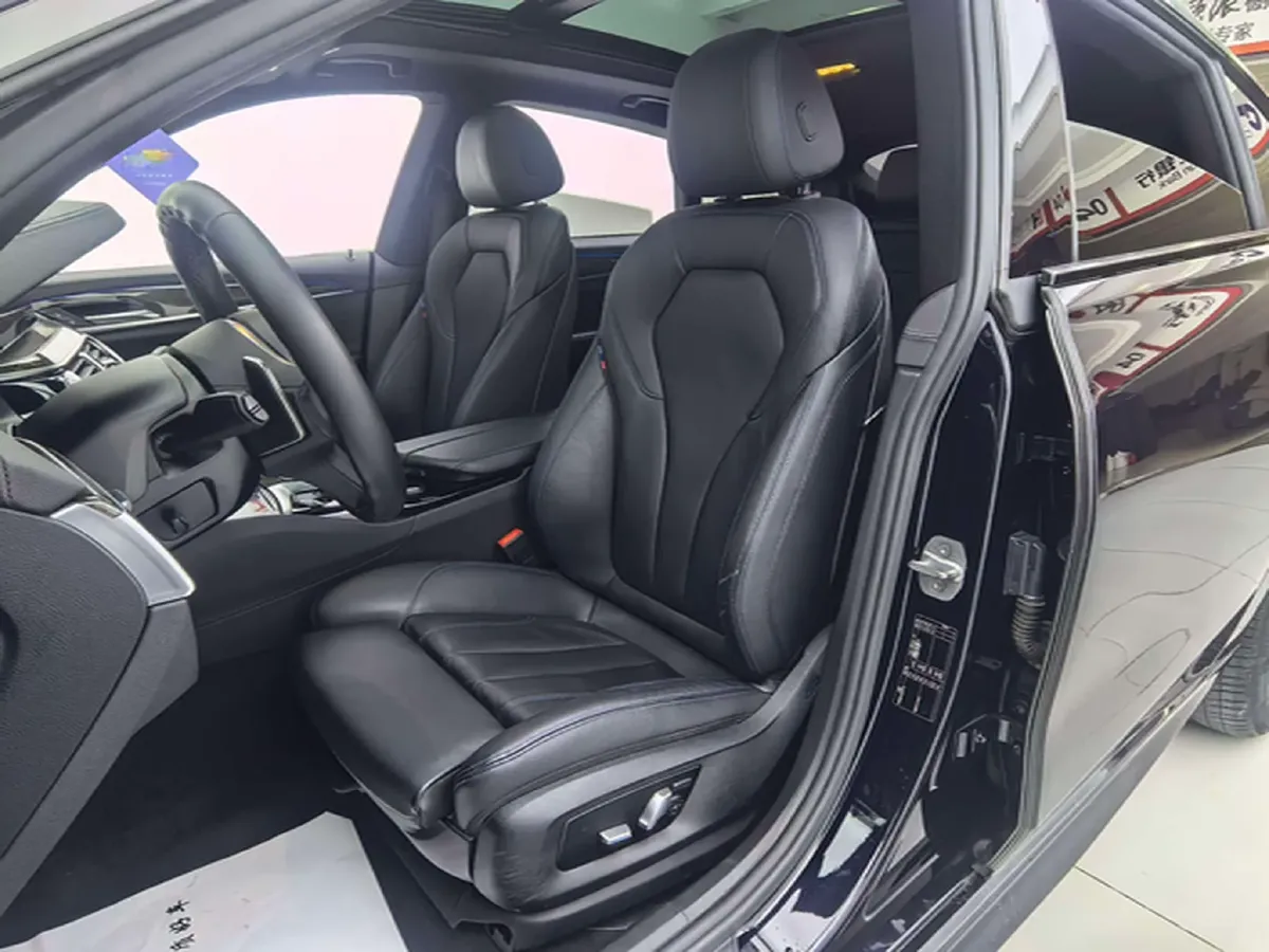 2020 BMW 6 Series GT 2.0T 258HP L4 8AT,autocango,china used car exporter,china ev exporter,chinese used car exporter,chinese used ev exporter