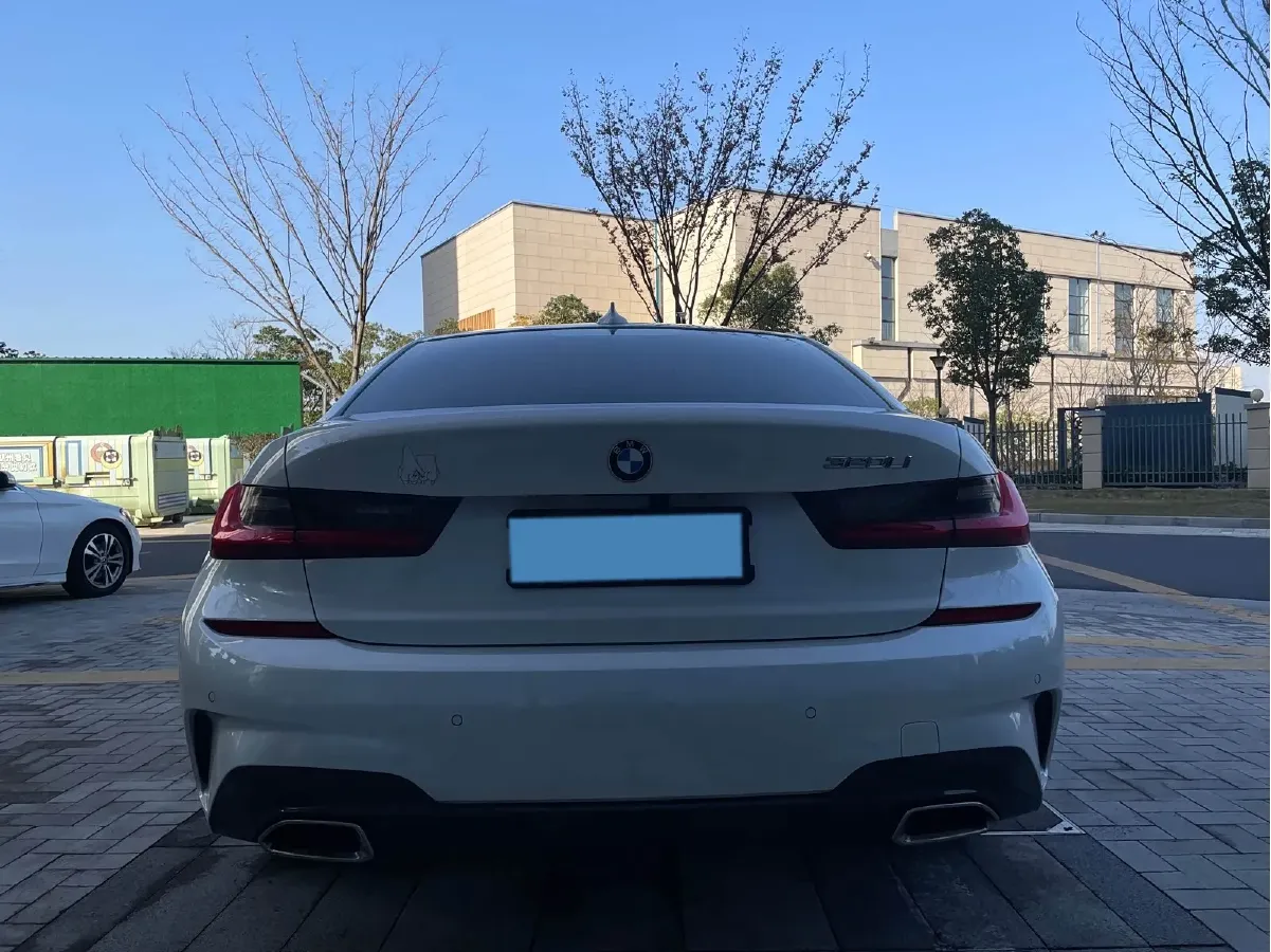 2020 BMW 3 Series 2.0T 156HP L4 8AT,autocango,china used car exporter,china ev exporter,chinese used car exporter,chinese used ev exporter