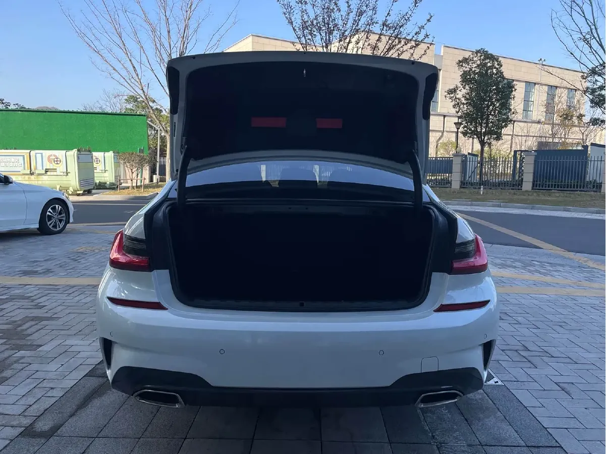 2020 BMW 3 Series 2.0T 156HP L4 8AT,autocango,china used car exporter,china ev exporter,chinese used car exporter,chinese used ev exporter