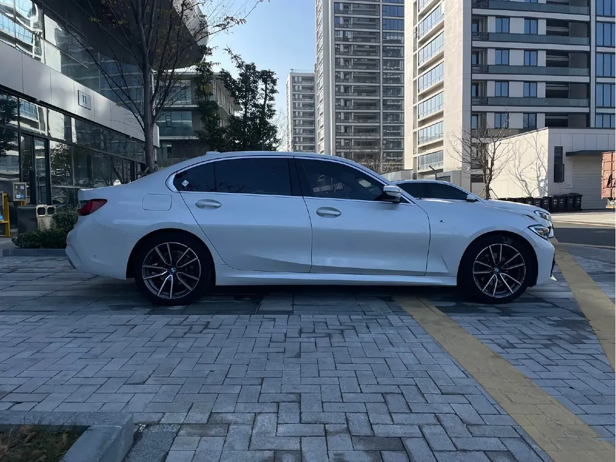 2020 BMW 3 Series 2.0T 156HP L4 8AT,autocango,china used car exporter,china ev exporter,chinese used car exporter,chinese used ev exporter