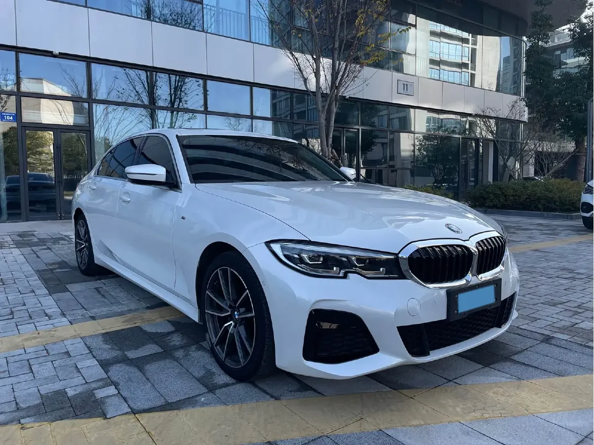 2020 BMW 3 Series 2.0T 156HP L4 8AT,autocango,china used car exporter,china ev exporter,chinese used car exporter,chinese used ev exporter