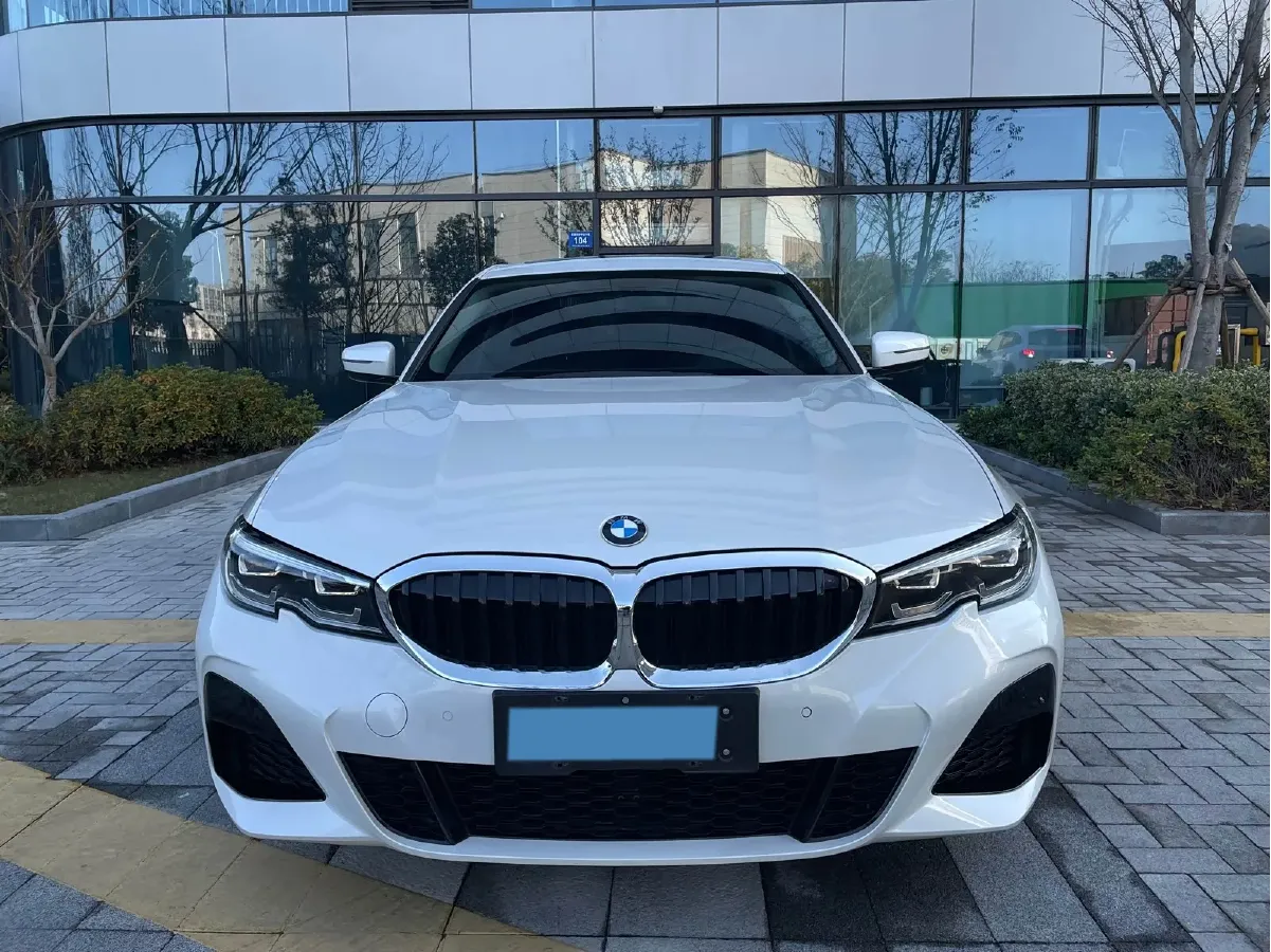 2020 BMW 3 Series 2.0T 156HP L4 8AT,autocango,china used car exporter,china ev exporter,chinese used car exporter,chinese used ev exporter