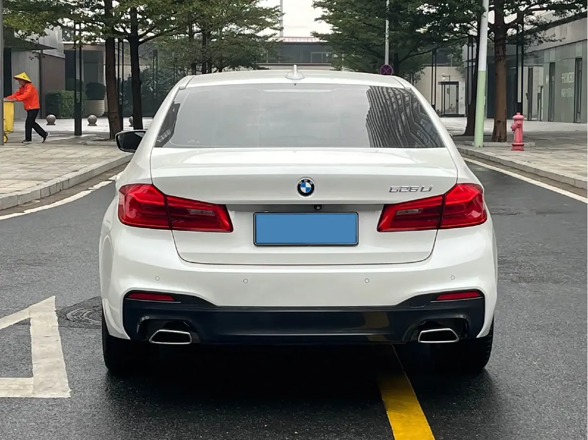 2019 BMW 5 Series 2.0T 184HP L4 8AT,autocango,china used car exporter,china ev exporter,chinese used car exporter,chinese used ev exporter