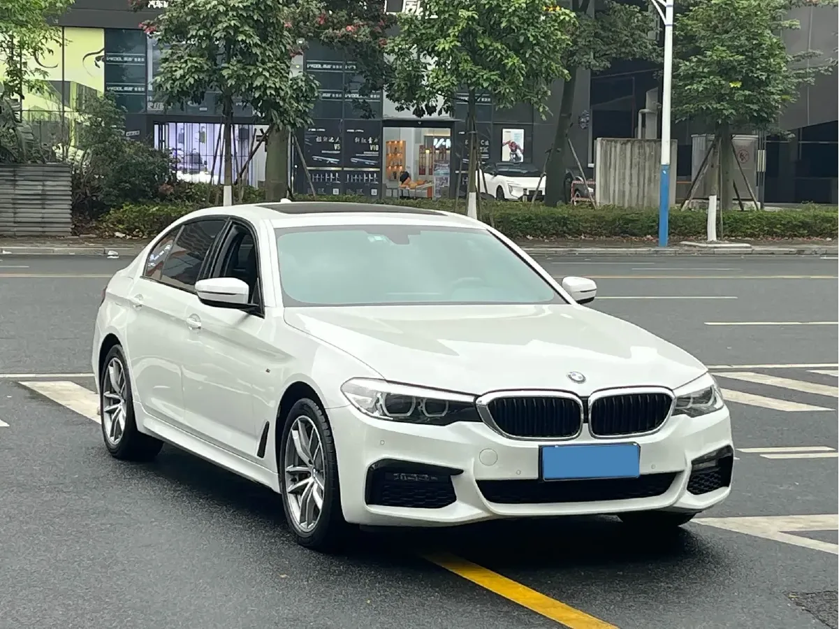 2019 BMW 5 Series 2.0T 184HP L4 8AT,autocango,china used car exporter,china ev exporter,chinese used car exporter,chinese used ev exporter