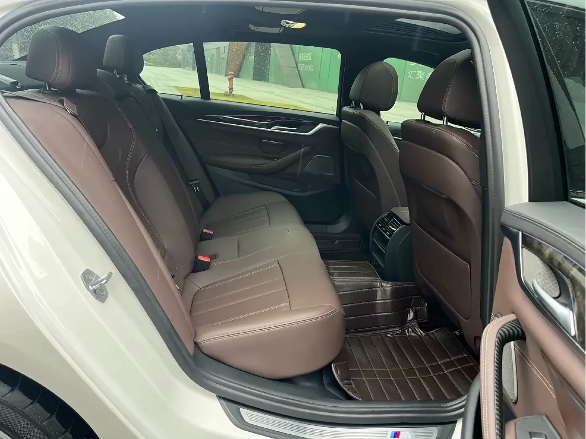 2019 BMW 5 Series 2.0T 184HP L4 8AT,autocango,china used car exporter,china ev exporter,chinese used car exporter,chinese used ev exporter