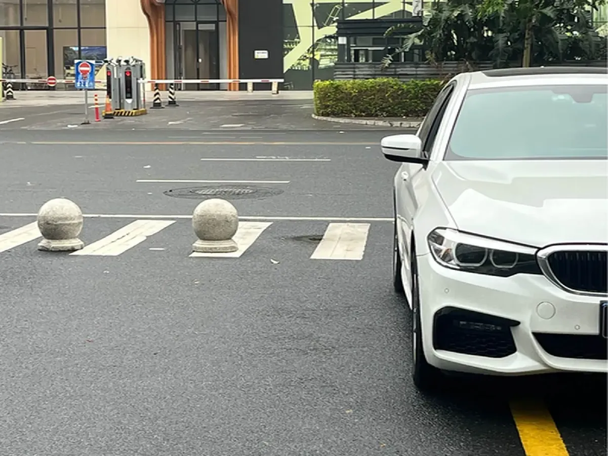 2019 BMW 5 Series 2.0T 184HP L4 8AT,autocango,china used car exporter,china ev exporter,chinese used car exporter,chinese used ev exporter