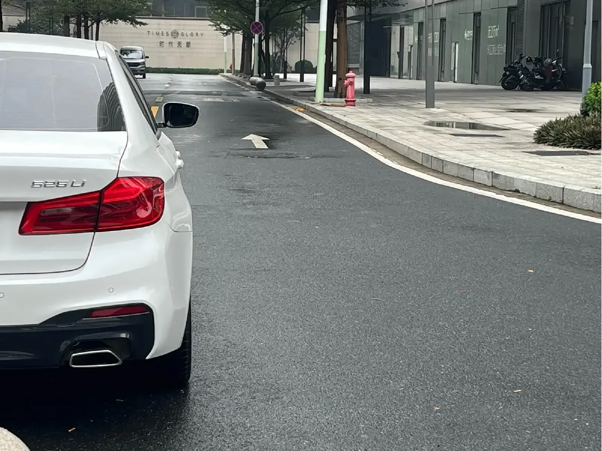 2019 BMW 5 Series 2.0T 184HP L4 8AT,autocango,china used car exporter,china ev exporter,chinese used car exporter,chinese used ev exporter